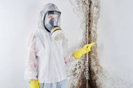 Why You Should Choose Our Mold Remediation Services in Forest Meadows, CA